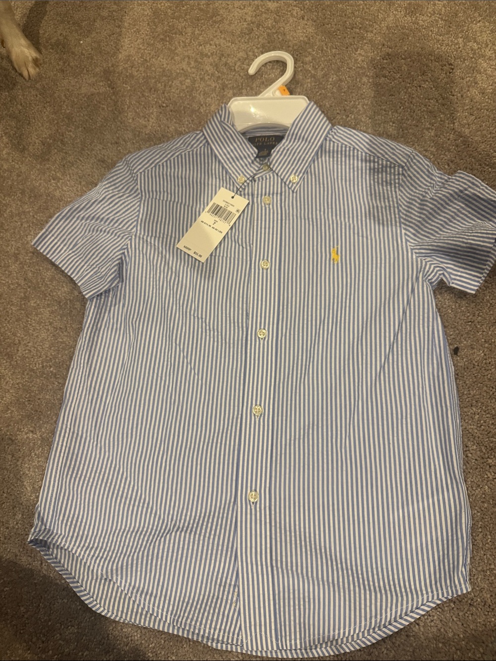 Polo by Ralph Lauren Light Blue and White Striped Short-Sleeve Button-Down Shirt